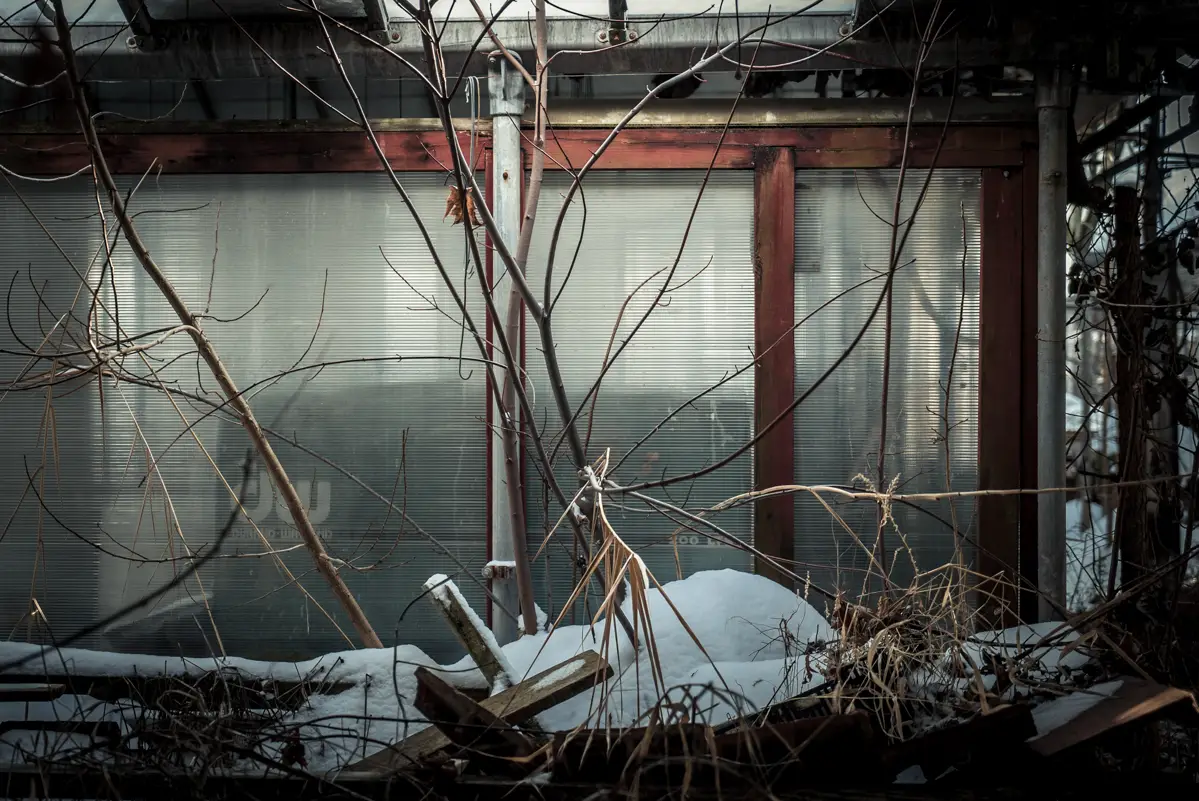 The World Sits Frozen