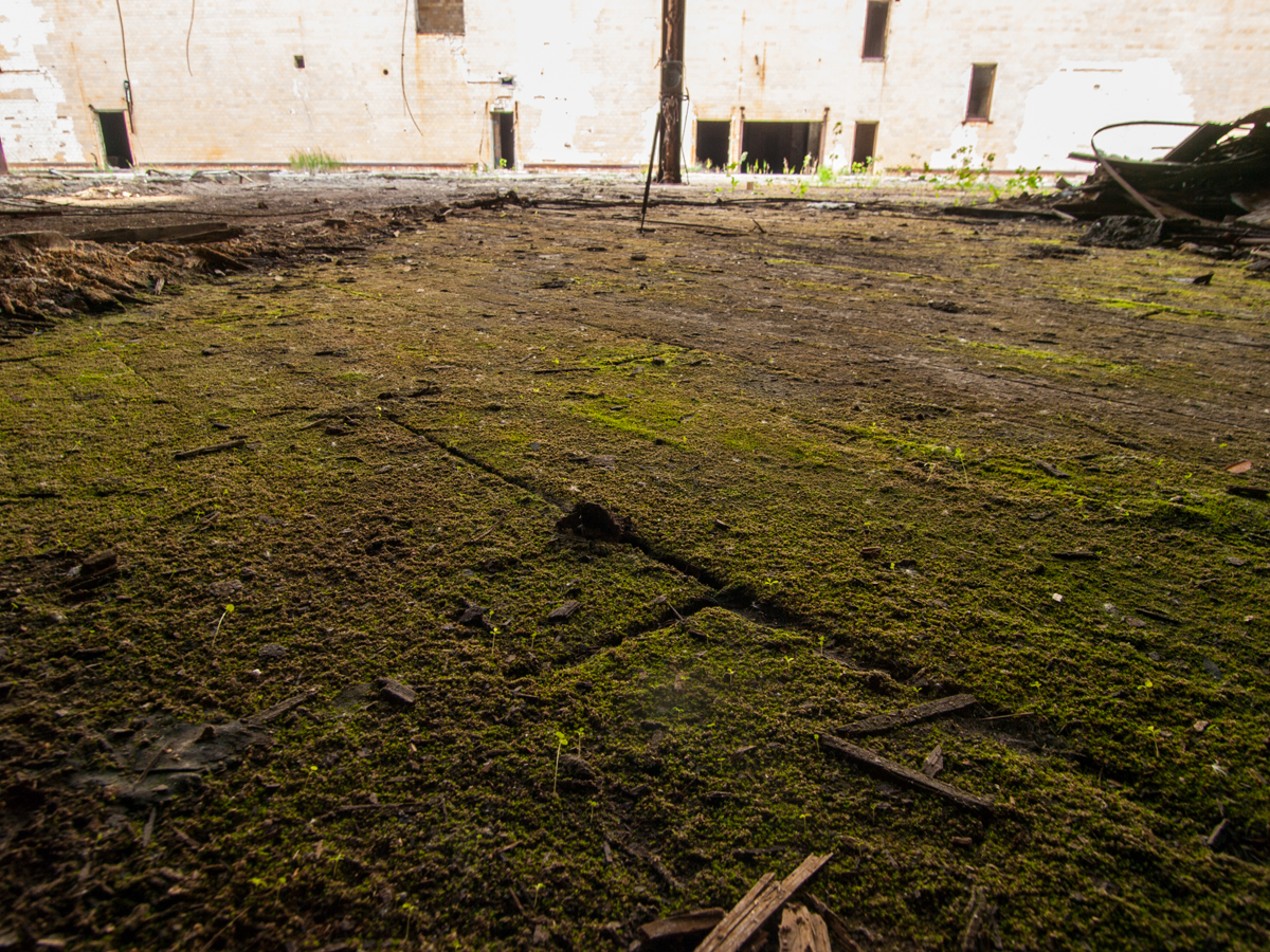 Abandoned Industrial Rayon Plant