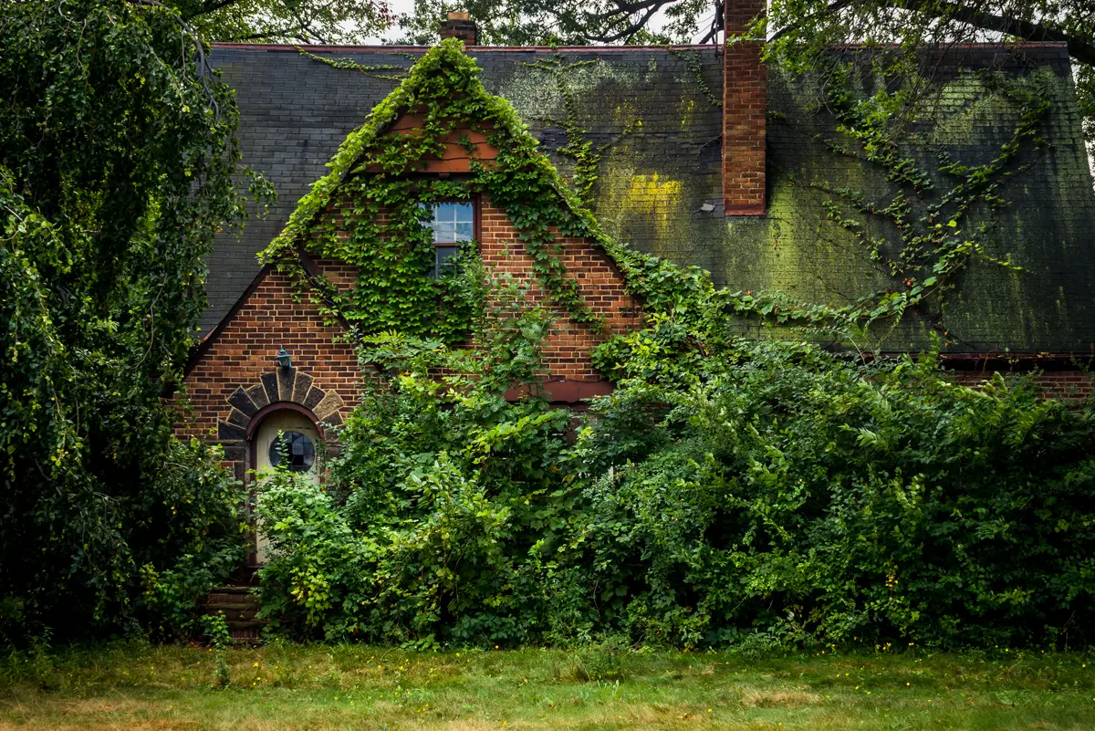 Abandoned Places Entirely Overtaken by Nature