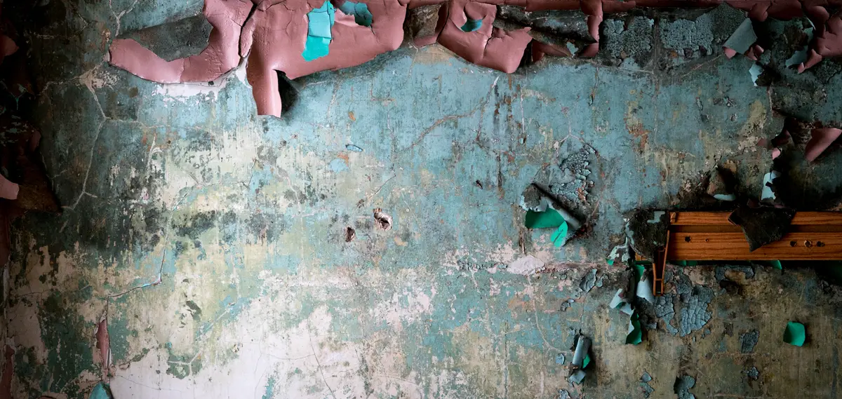 Nature's Art Inside Abandoned Places