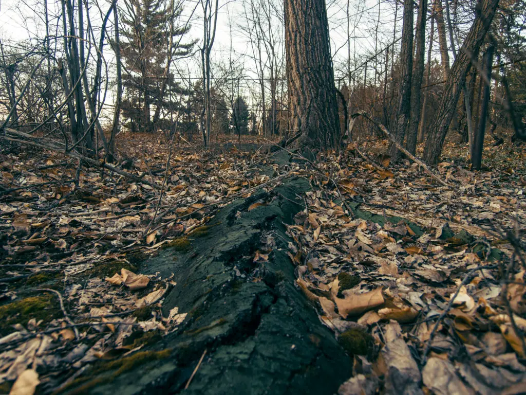abandoned mansion gale estate mentor ohio