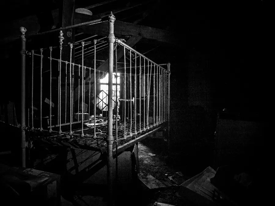 abandoned lorimer parmly mansion perry ohio
