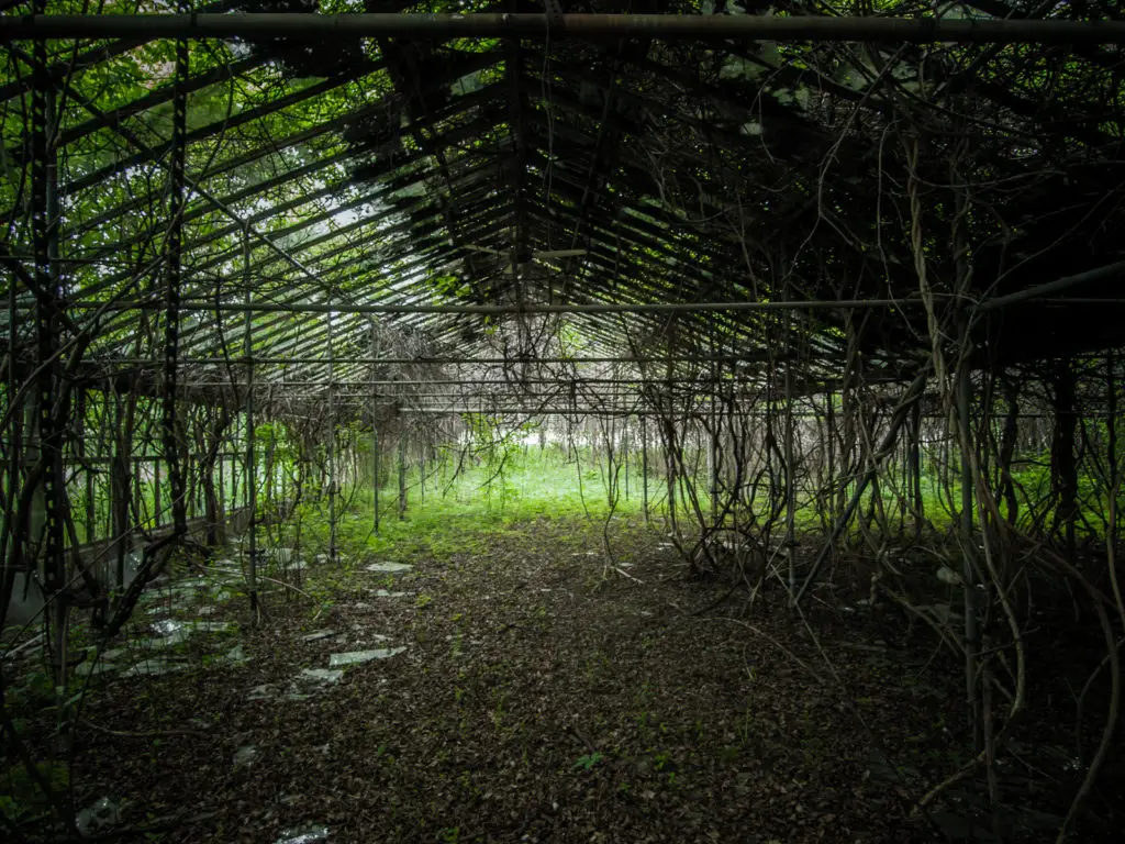 otto's abandoned greenhouse in ohio