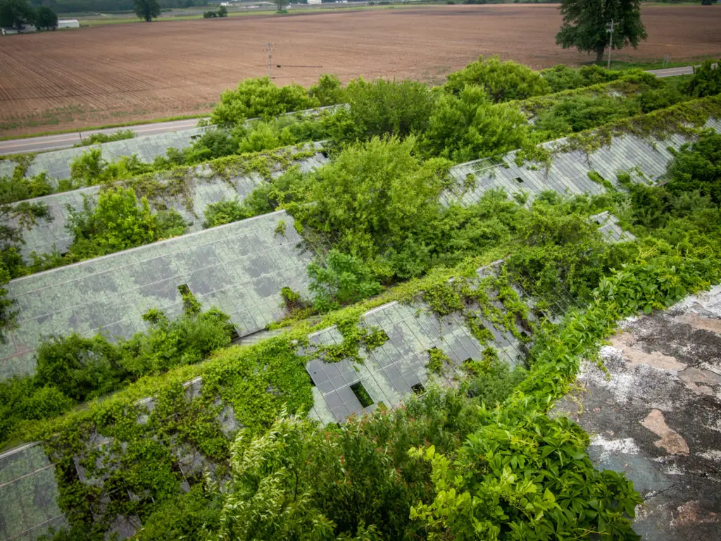 otto's abandoned greenhouse in ohio