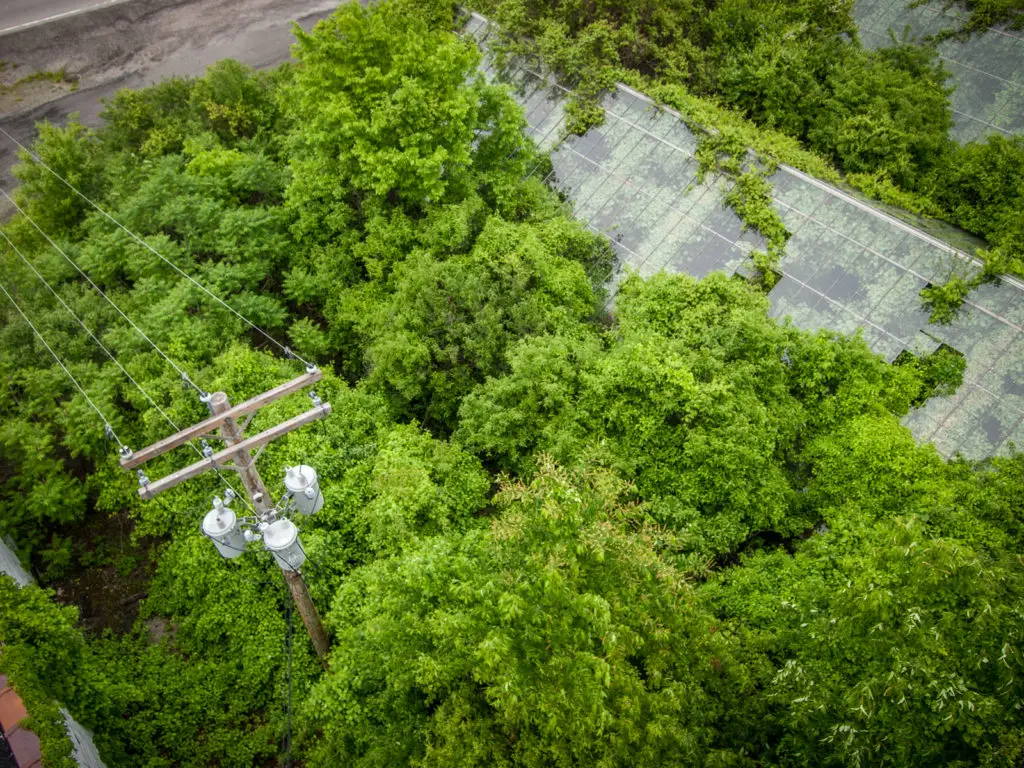 otto's abandoned greenhouse in ohio