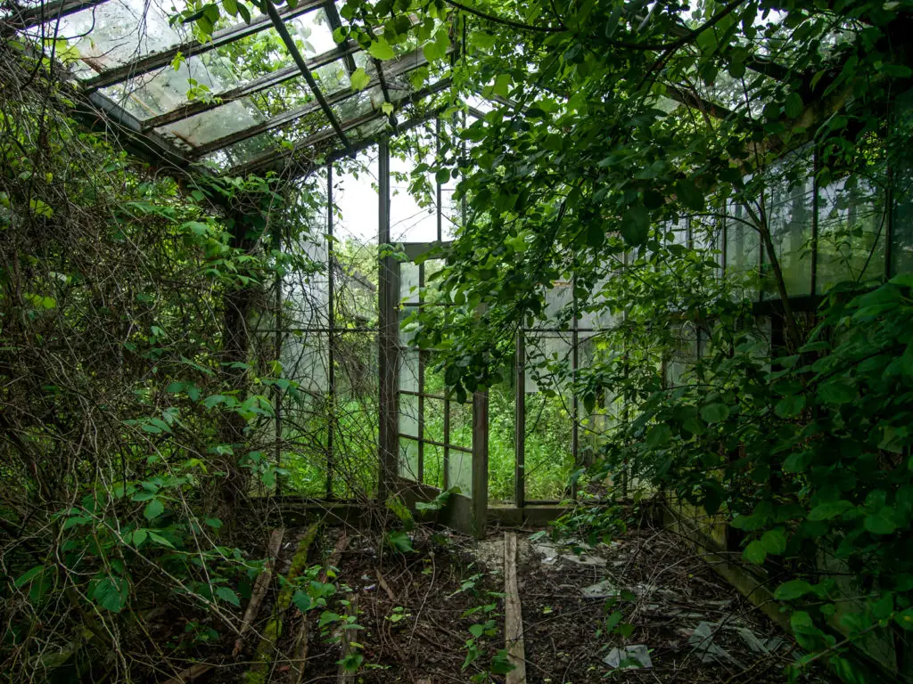 otto's abandoned greenhouse in ohio