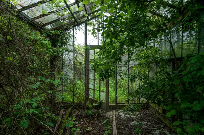 Ohio In The 1800s: Otto’s Greenhouse