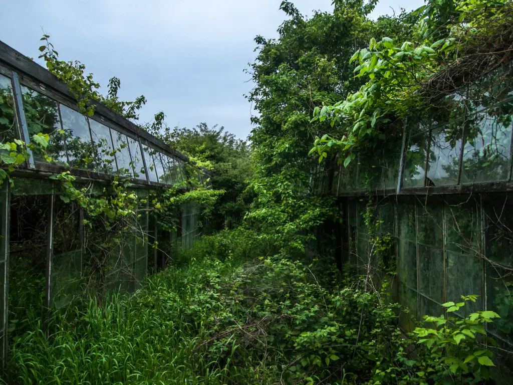 otto's abandoned greenhouse in ohio