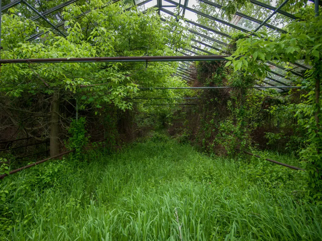 otto's abandoned greenhouse in ohio