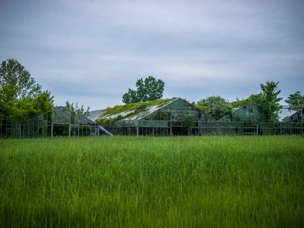 otto's abandoned greenhouse in ohio