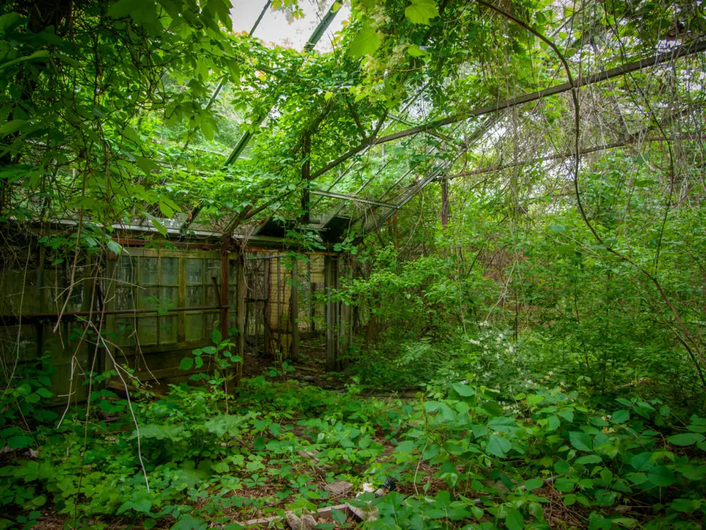 otto's abandoned greenhouse in ohio