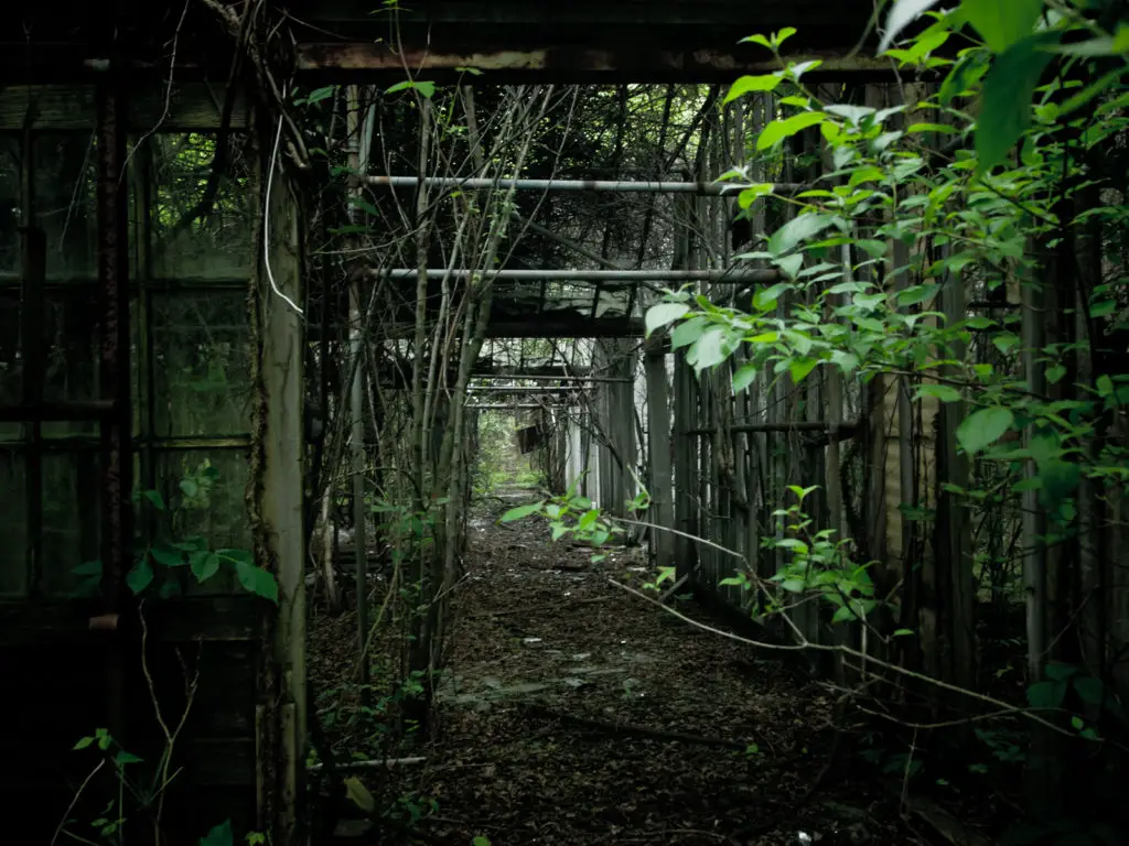 otto's abandoned greenhouse in ohio