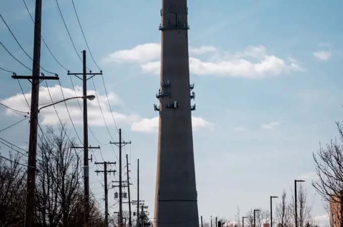 Rex’s Erection
