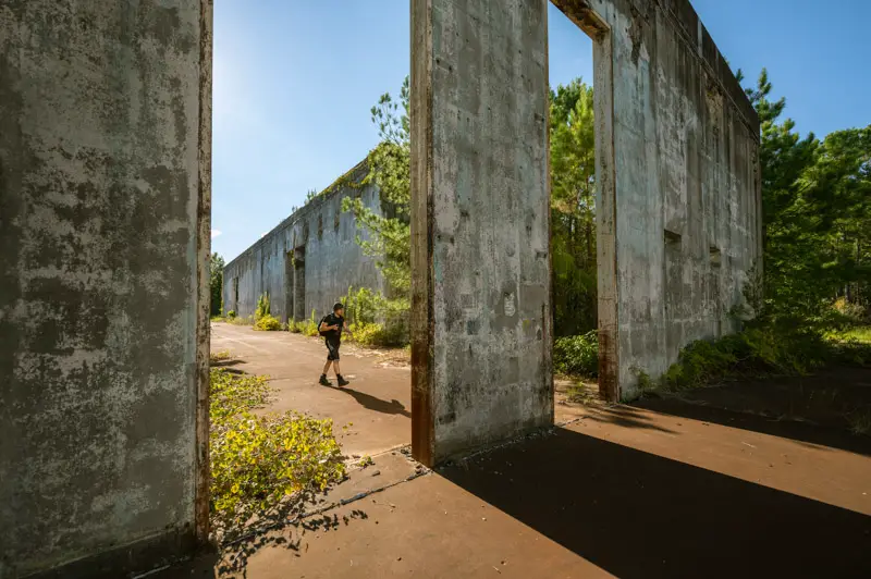 overgrown longhorn army ammunition plant