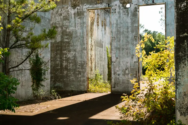overgrown longhorn army ammunition plant