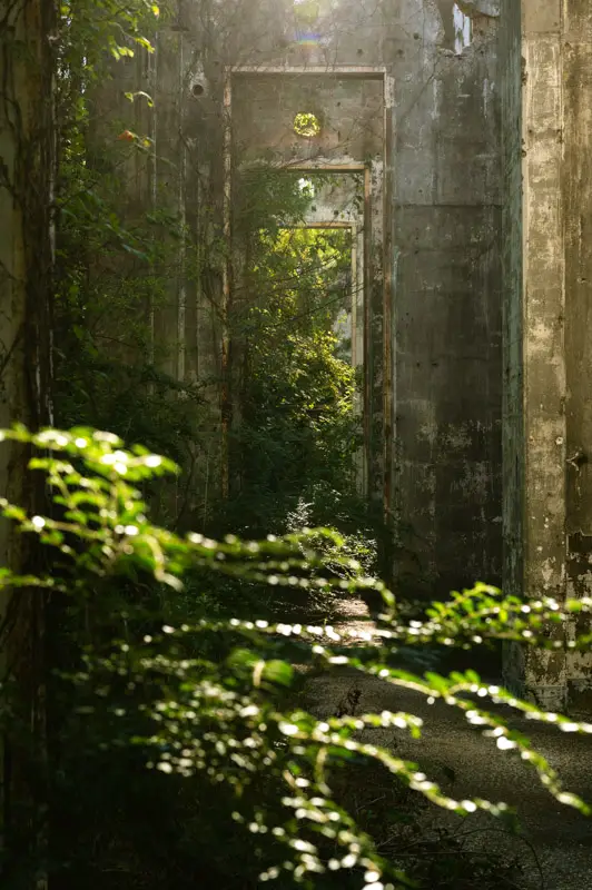 abandoned longhorn army ammunition plant