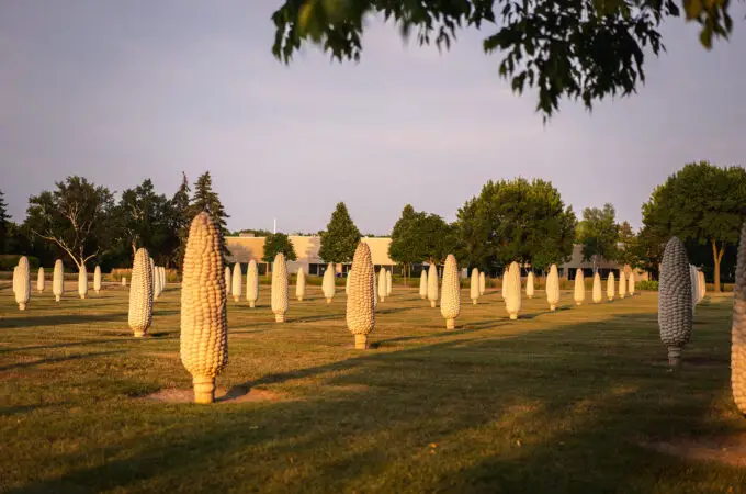 Cornhenge: A Unique Tribute to Ohio’s Agricultural Heritage