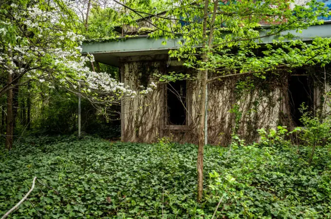 An Abandoned Mid-Century Home Hidden in the Woods in Lake County, Ohio