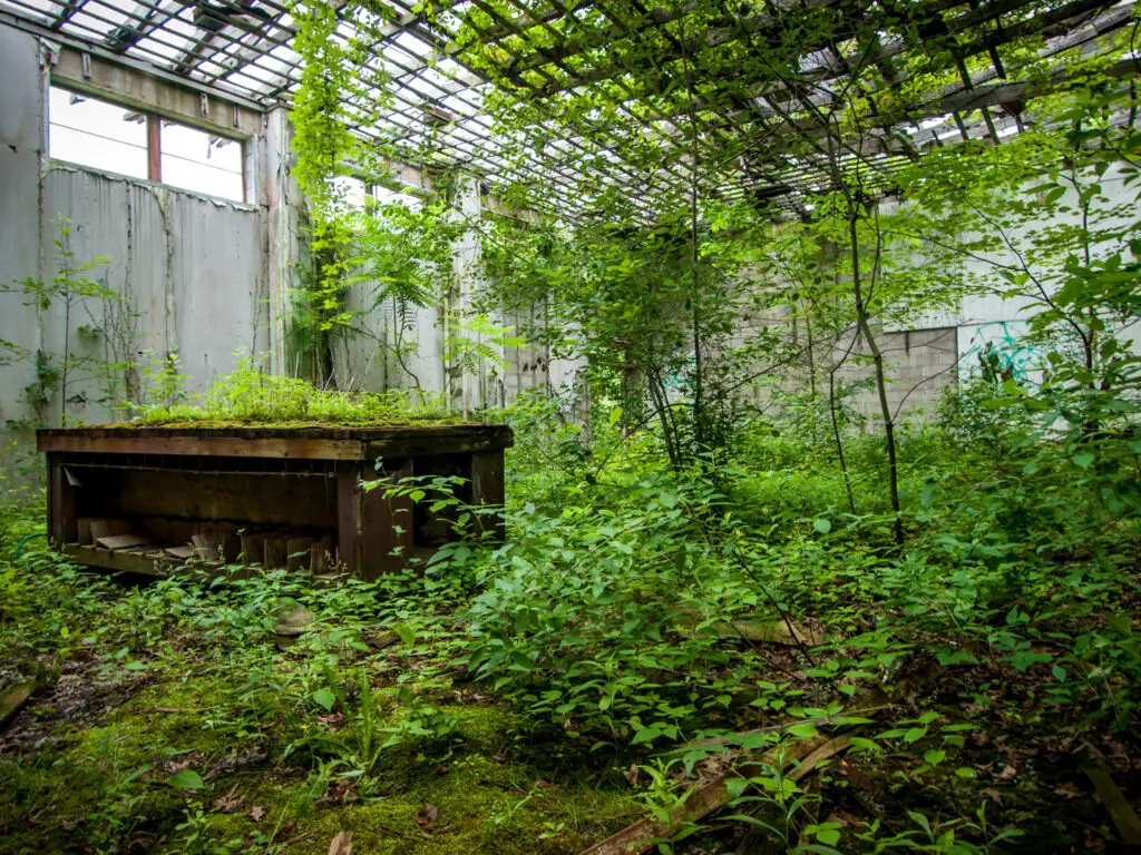 abandoned air force station
