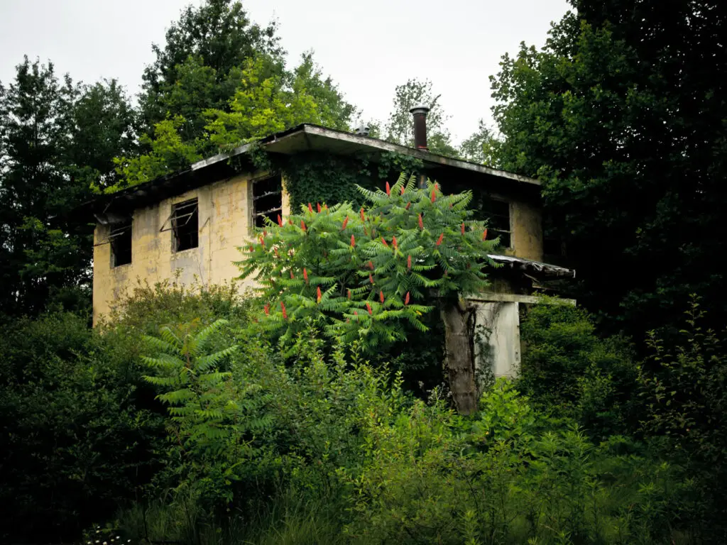 abandoned air force base