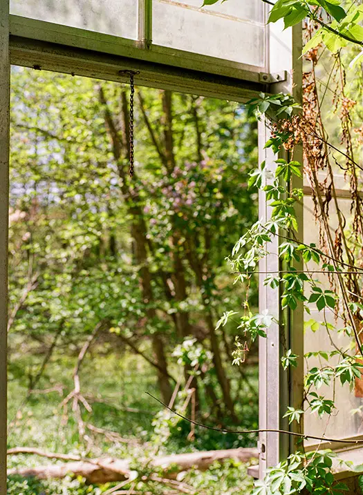 Greenhouse In Beachwood 000013720011