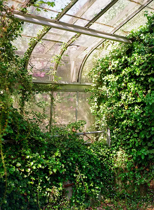 Greenhouse In Beachwood 000013720015